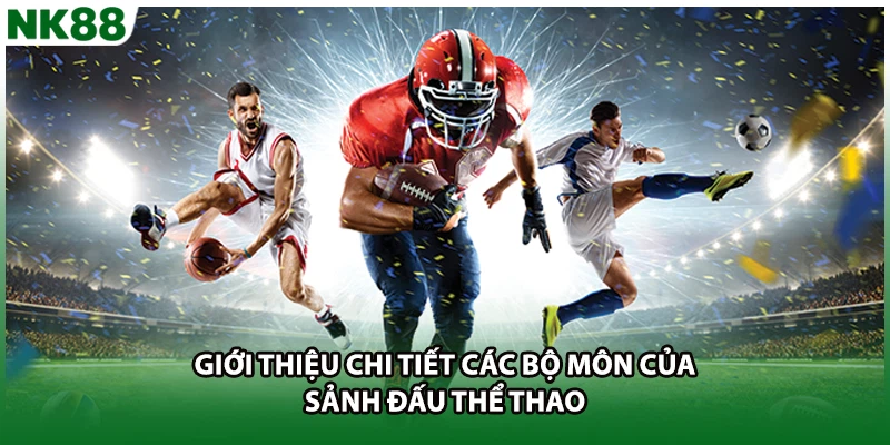 Giới thiệu chi tiết các bộ môn của sảnh đấu thể thao
