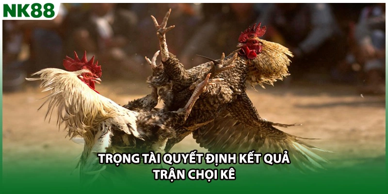 Trọng tài quyết định kết quả trận chọi kê